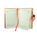 AGENDA FUNDA MONACO (21DB) - 1869